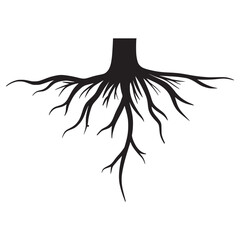 Doodle sketch style of tree root vector illustration for concept design.