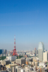Fototapeta premium City skyline of Tokyo with a view of the tokyo tower