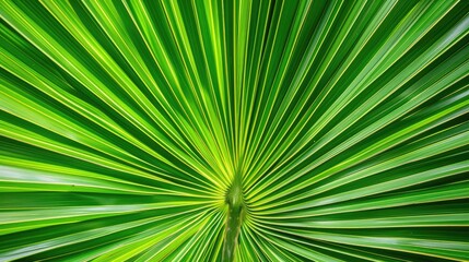 The Charming Flaws in the Organic Pattern of a Palm Leaf