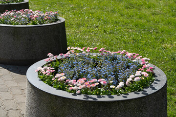 Road Flower Pot, Street Bed, Plant Boxes Modern City Floristry, Urban Flowerbeds Design, City...
