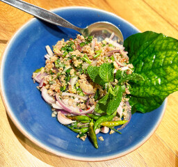 Spicy Minced Pork Salad
