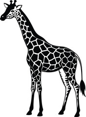 Naklejka premium giraffe vector illustration isolated on white background eps 10