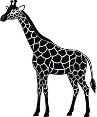 Naklejka premium giraffe vector illustration isolated on white background eps 10