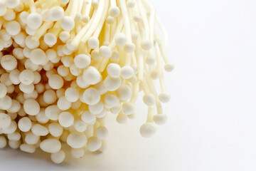 Fresh Enoki mushrooms on white background