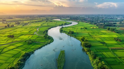 Irrigating River Delta