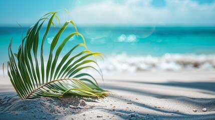A vibrant and detailed shot of a palm leaf on a sandy beach with a beautifully blurred bokeh ocean background, perfect for a travel magazine's feature article