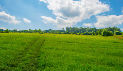 Fields and trees in a green hilly grassy landscape under a blue sky in sunlight in summer, Voeren, Limburg, Belgium, June, 2024