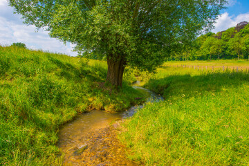 Fototapeta premium Fields and trees in a green hilly grassy landscape under a blue sky in sunlight in summer, Voeren, Limburg, Belgium, June, 2024