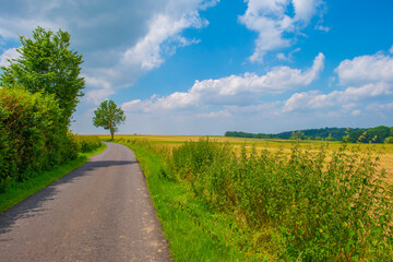 Fields and trees in a green hilly grassy landscape under a blue sky in sunlight in summer, Voeren, Limburg, Belgium, June, 2024