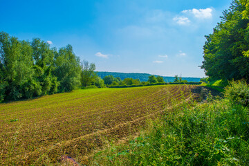 Fields and trees in a green hilly grassy landscape under a blue sky in sunlight in summer, Voeren, Limburg, Belgium, June, 2024