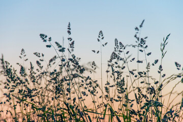 Sunset over fields and trees in a green hilly landscape under a colorful sky in sunlight in summer, Voeren, Limburg, Belgium, June, 2024