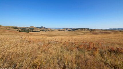 Fototapeta premium Rolling Grasslands 