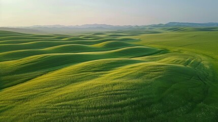 Obraz premium Rolling Grasslands 