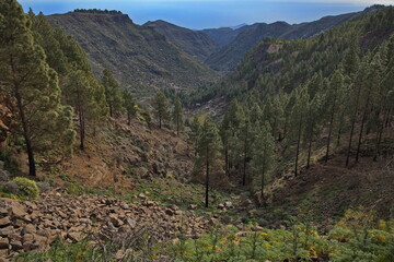 View of Barranco de Guayadeque from the hiking track to Cruz del Socorro on Gran Canaria,Canary Islands,Spain,Europe
