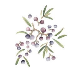 Purple Berries and Heather Branches with Leaves. Watercolor floral composition for invitations, postcards and other stationery
