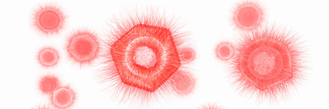 Giant virus structure, illustration