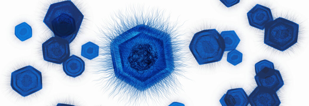 Giant virus structure, illustration