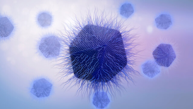 Giant virus structure, illustration