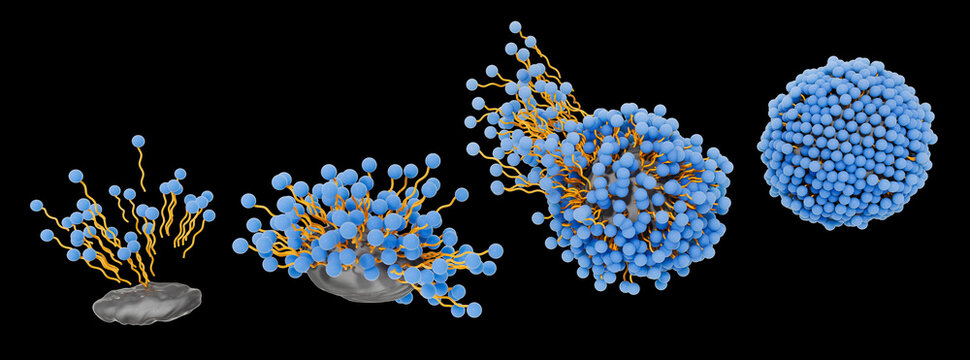 Soap molecules capturing dirt within micelles, illustration