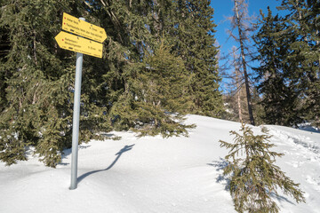 Naklejka premium Yellow and white road sign in snowy landscape by trees