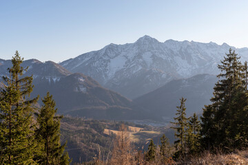 Shot of trees with mountains in the background