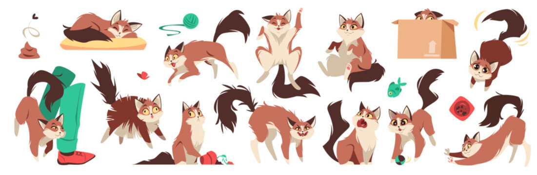 Cartoon cat in different mood. Pets behavior, cute domestic playful animal lifestyle, sleep, playfulness, protection and affection. Relaxing, lazy and afraid mammals. Tidy vector isolated set