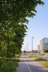 road in the city