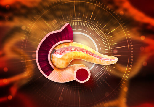 Human pancreas anatomy on scientific background. 3d illustration..