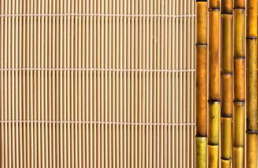 Organic Bamboo background. Eco-friendly background with Bamboo stems on cane mat texture. Copy space for text