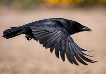 Naklejka premium Glide in Focus