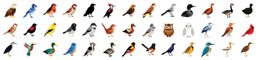 Collection of american birds icons, vector cartoon illustration. Eagle, robin, sparrow, blue jay, woodpecker, hawk, falcon, snowy owl, hummingbird, pigeon.