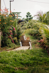 Vertical shot of stairs and lush foliage near Lake Cuipari in Peru