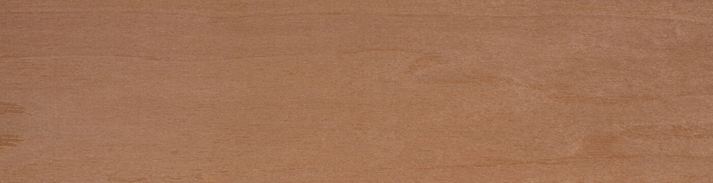 Aegrelle veneer surface with a smooth gradient and delicate terracotta shading