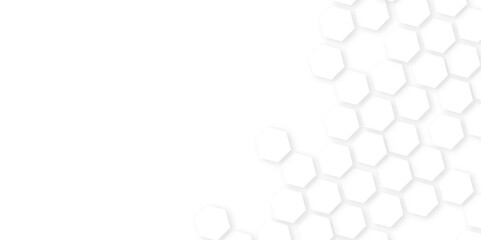 Abstract background honeycomb white and grey. Luxury White Pattern. honeycomb white Background white and hexagon abstract background.	white and gray hexagon honeycomb geometric copy space.