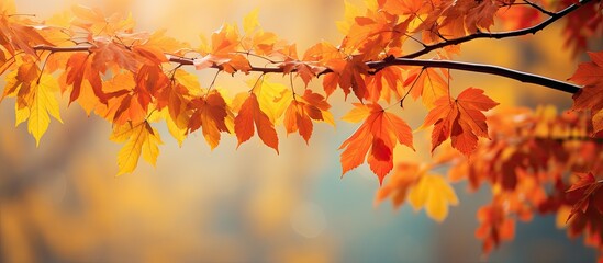 The vibrant autumn leaves on the tree provide a harmonious background with intricate details capturing the essence of the season Copy space image