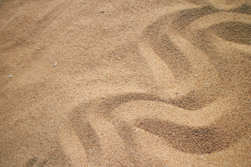 sand background for nature composition