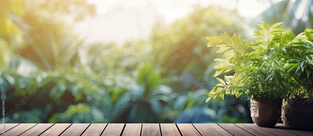 Aufkleber blur nature background with balcony and terrace copy space image