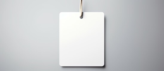 The white hangtag tag is shown in an isolated copy space image