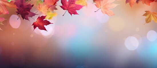 Colorful background of autumn leaves. copy space available
