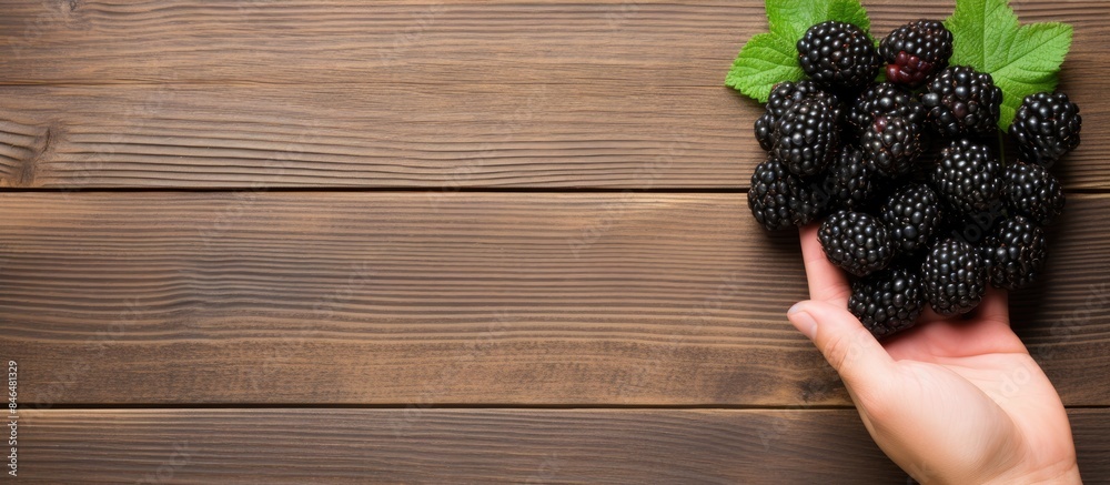 Poster close up copy space image of a hand holding a blackberry on a wooden background conveying the concep