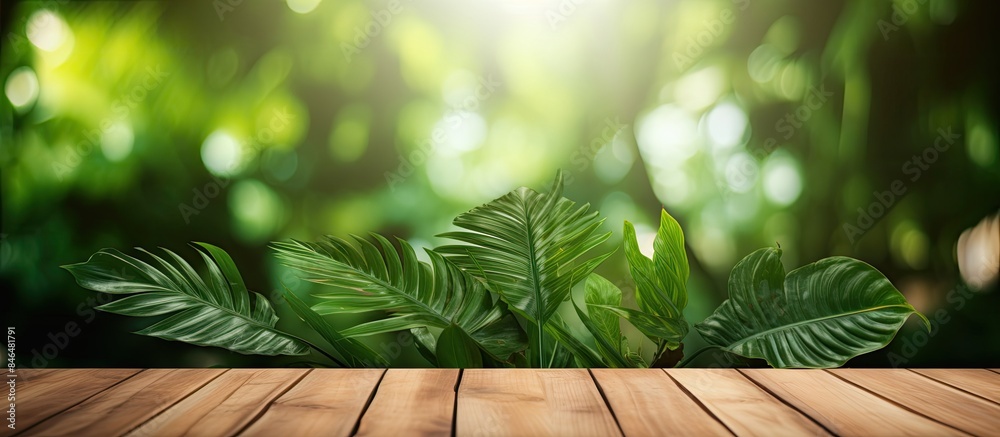 Aufkleber Tropical leaves embellish an empty wooden table with a blurred background serving as a copy space image for product presentation and the option to add text