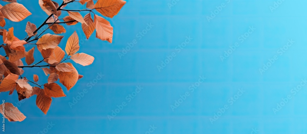 Poster in a vivid blue backdrop autumn leaves spread across leaving ample copy space for capturing the imag