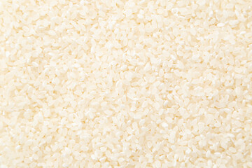 ジャポニカ米の背景