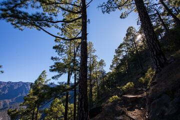 Landscape in Bejenado Peak in Caldera de Taburiente, La Palma, Spain