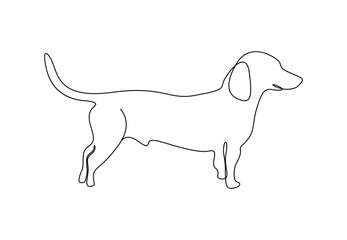 Continuous one line drawing of dachshund dog vector illustration. Premium vector 