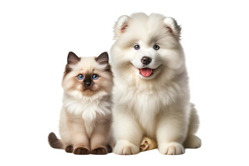 Obraz premium Adorable Samoyed Puppy and Siamese Kitten Sitting, Isolated on Transparent Background