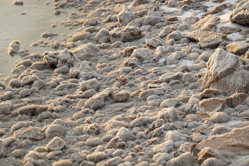 Natural salt formations covering rocky shore by the sea. Detailed texture and close-up view of...
