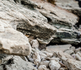 stone texture rocks