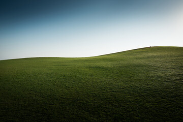 잔디가 가득한 언덕위에 하늘.