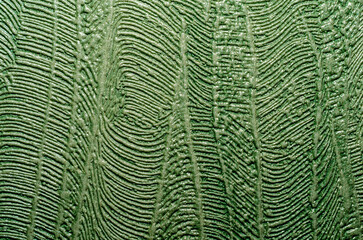 texture green abstract background closeup